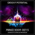 GROOVY POTENTIAL PRINCE 2009-2015