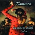 Flamenco - LP La noche en el Café Vol 01