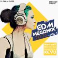 DJ Ridha Boss EDM Megamix 2021 Volume 1