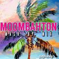 BEST OF HUNKY MOOMBAHTON & TROPICAL MASH UP MIX