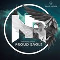 Nelver - Proud Eagle Radio Show #317 [Pirate Station Online] (24-06-2020)