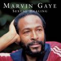 SEXUAL HEALING ALL VERSIONS By Edou