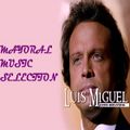 Luis Miguel Exitos Romanticos 80's & 90's|Lo Mejor De Luis Miguel|Boleros - Mayoral Music Selection