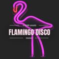 Flamingo Disco 2 (IG Live set)