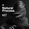 Natural Process #27