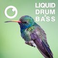 Liquid Drum and Bass Sessions  #45 [June 2021]