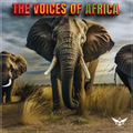 Doc Idaho -  THE VOICES OF AFRICA - Spring Edit