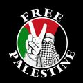 Palestine #Ask_Arkady L 11/05/21