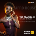 TRIP TO AFRICA III - DIANA EMMS & RAMY AYOUB