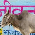 गाय (Digital India - Dan The Automator - Talvin Singh - Onra - Bill Laswell - Dj Stavros )