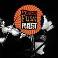 The Peach Fuzz Forest Vol. 1 (November 2017)