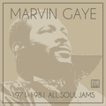 MARVIN GAYE 1971-1981 ALL SOUL JAMS