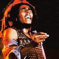 Bob Marley 72nd Birthday set 6th Feb 2017 @Silverbackdjz