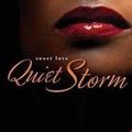 The Quiet Storm ( 80's Slow Jam )