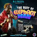 THE BEST OF ELEPHANT MAN - MIXED BY DJ FAZZEL