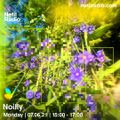 Noilly - 7th June 2021