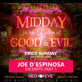 Part 1 of 2: Midday in the Garden of Good & Evil . Pride 2023 . RedEye . New York . Joe D'Espinosa