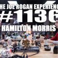 #1135 - Hamilton Morris