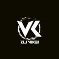 V Hunterz-超炸全外语舞曲串烧 Mixtape Private 2019 DJ VK