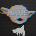 Min Deep Acid House?