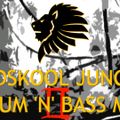 Oldskool Jungle Drum n Bass Mix Pt. II 94-95