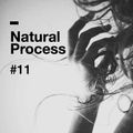 Natural Process #11