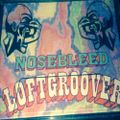 Loftgroover - Nosebleed Visions (01.04.96)