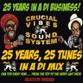 25 Years! 25 Tunes! Crucial Vibes Soundsystem Annyversary Mix selected by Crucial B