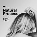 Natural Process #24