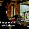mnml ssgs mx36 - Falko Brocksieper