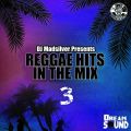 Reggae Hits In The Mix 3