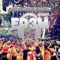ED3M IN THE MIX | EDM MIX #001