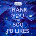 500 Facebook likes Celebration Mix
