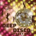 Deep Disco House AGS Mix v1