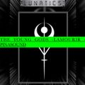 THE YOUNG GODS -LAMOURIR-PINASOUND