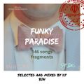 Dj Bin - Funky Paradise