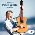 #23 A Tribute To Peter White megaMix