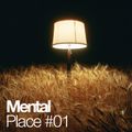 Mental Place #01