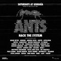wAFF - Live @ ANTS Hack The Sistem, Ushuaia (Ibiza, ES) - 30.06.2018