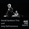 David Sanborn Trio and Joey DeFrancesco - Live in Burghausen