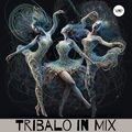 Tribalo Compilation in Mix (Camel VIP Records)