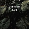 GoodBye Summer 2022