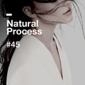 Natural Process #45