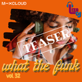 what the funk vol.32 - short version