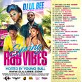 Dj Lil Bee aka The Blendspecialist Spring R&B VIBES 2019