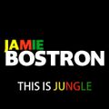 Jamie Bostron - This Is Jungle