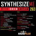 Synthesize Me #263 - 250218 - hour 2