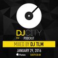 DJ TLM - DJcity Benelux Podcast - 29/01/16