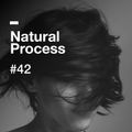 Natural Process #42