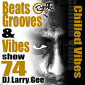 Beats, Grooves & Vibes 74 by Dj Larry Gee